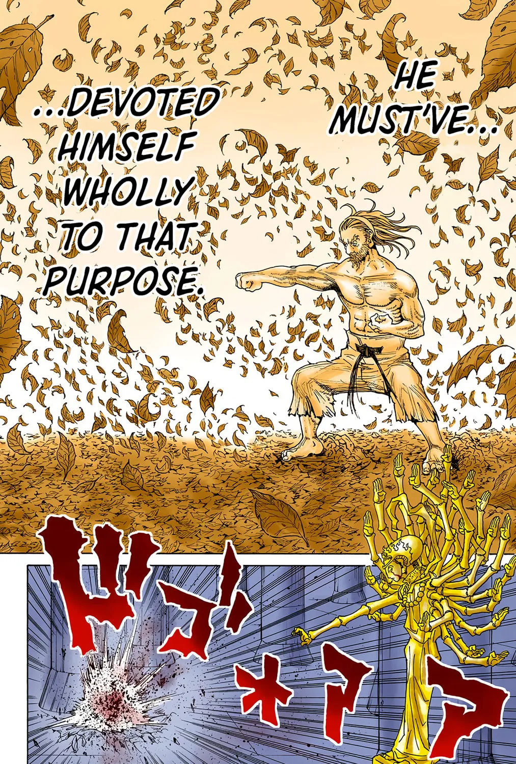 Hunter x Hunter Colored Manga