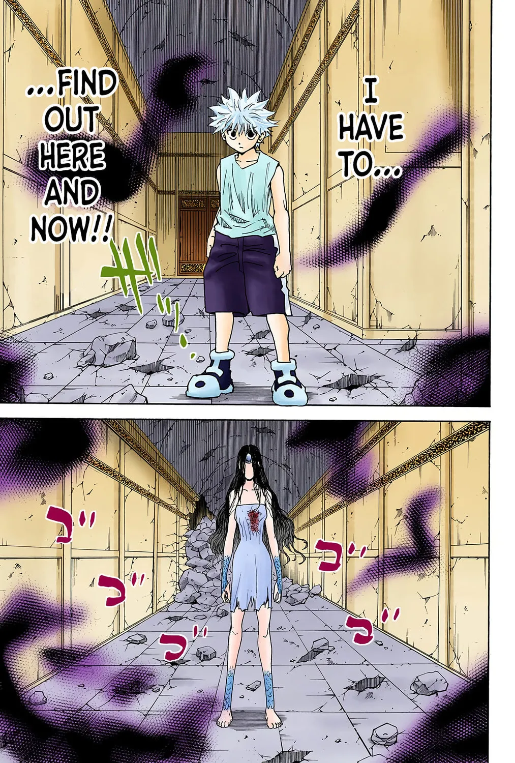 Hunter x Hunter Colored Manga
