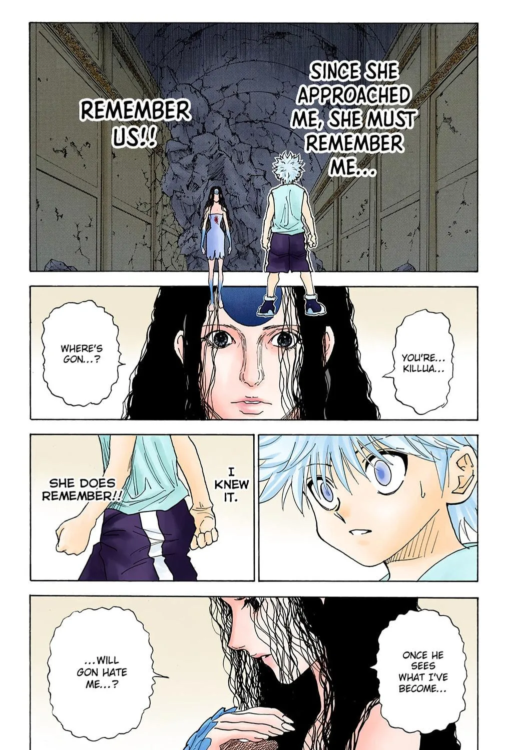 Hunter x Hunter Colored Manga