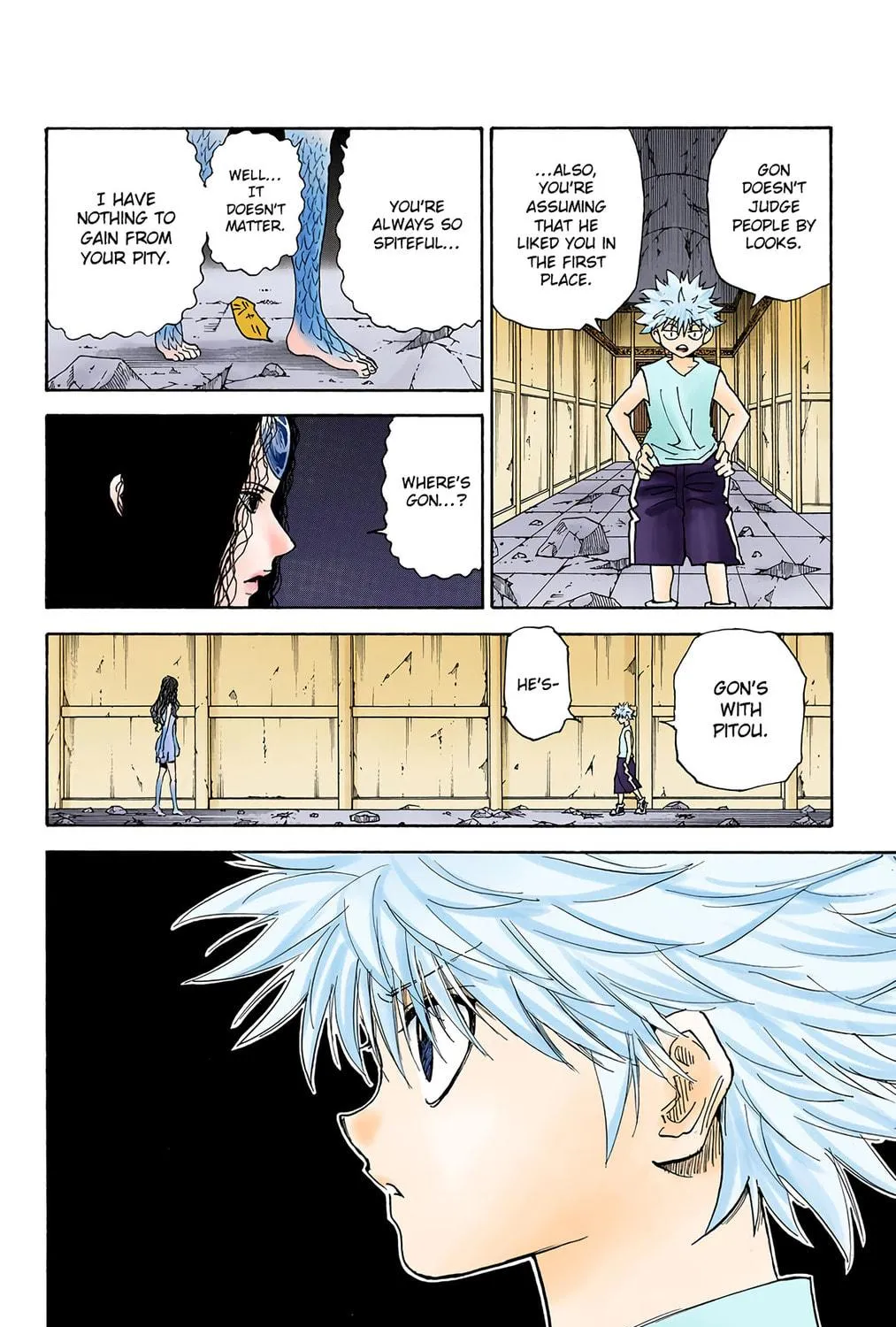 Hunter x Hunter Colored Manga