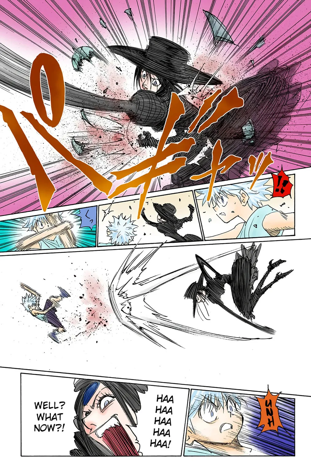 Hunter x Hunter Colored Manga