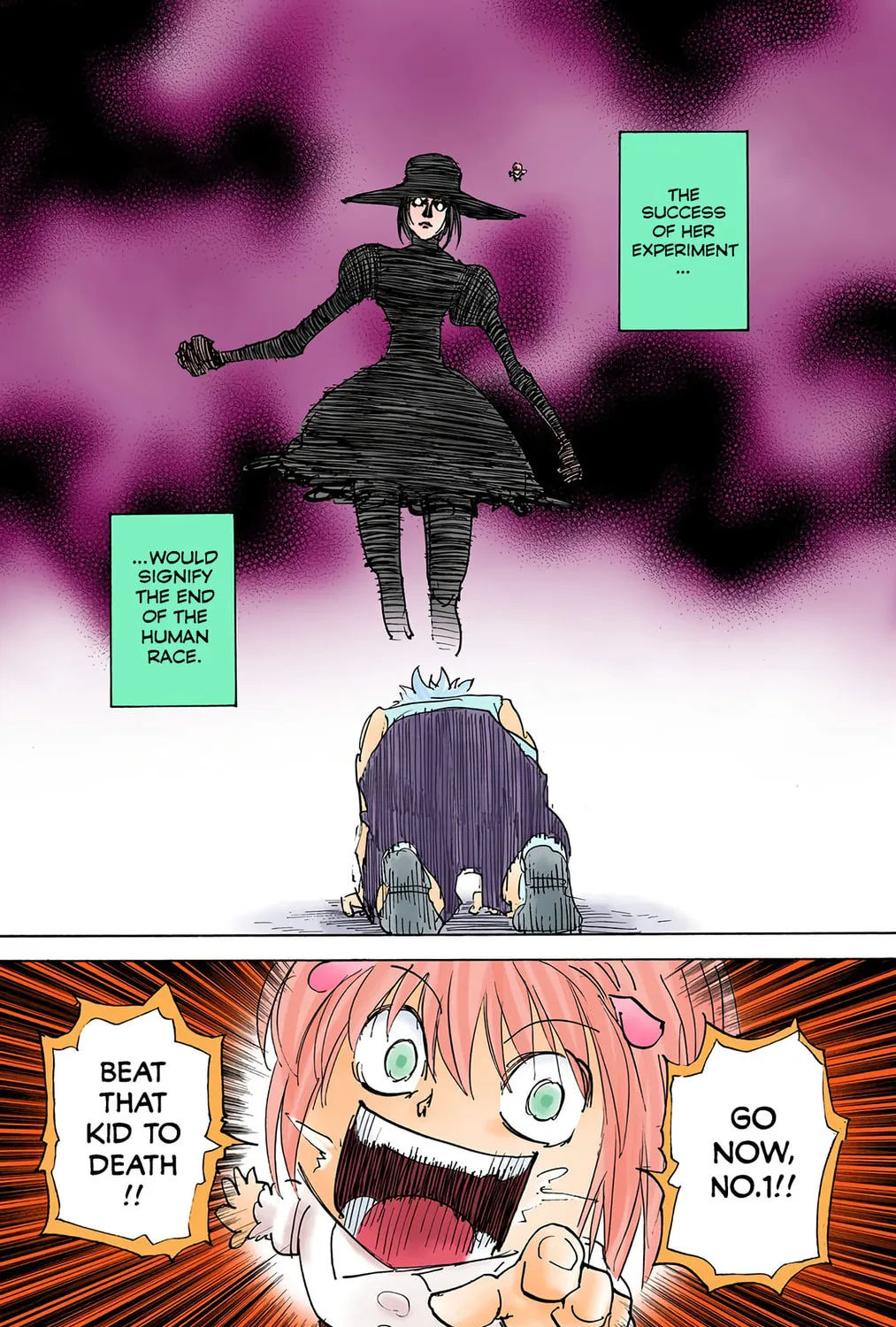 Hunter x Hunter Colored Manga
