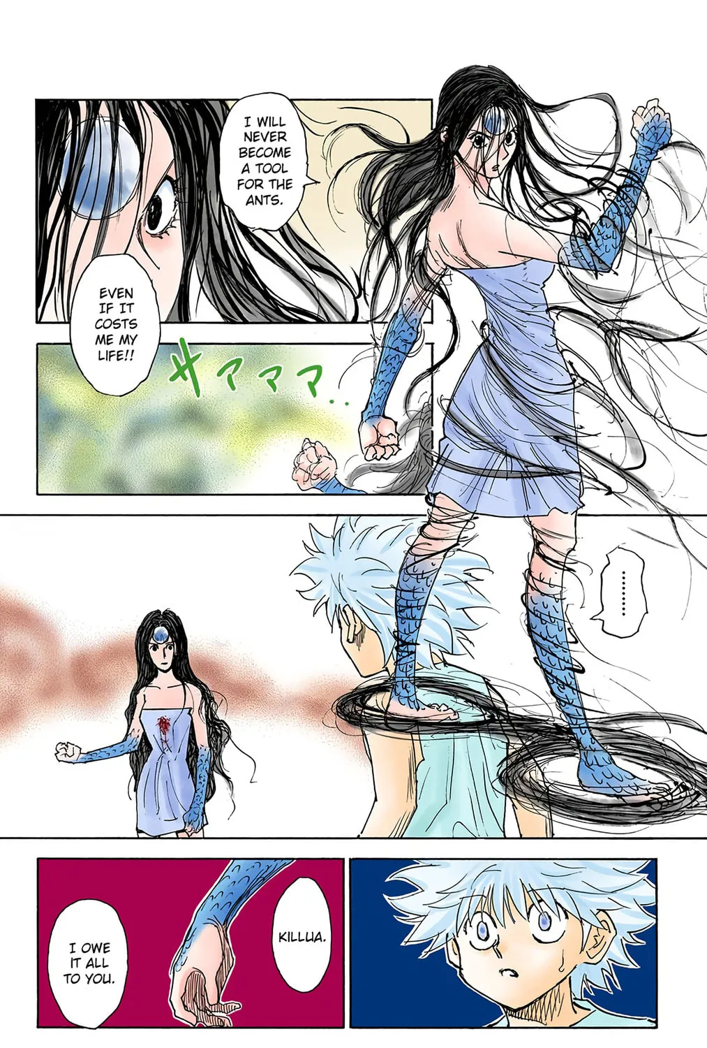 Hunter x Hunter Colored Manga