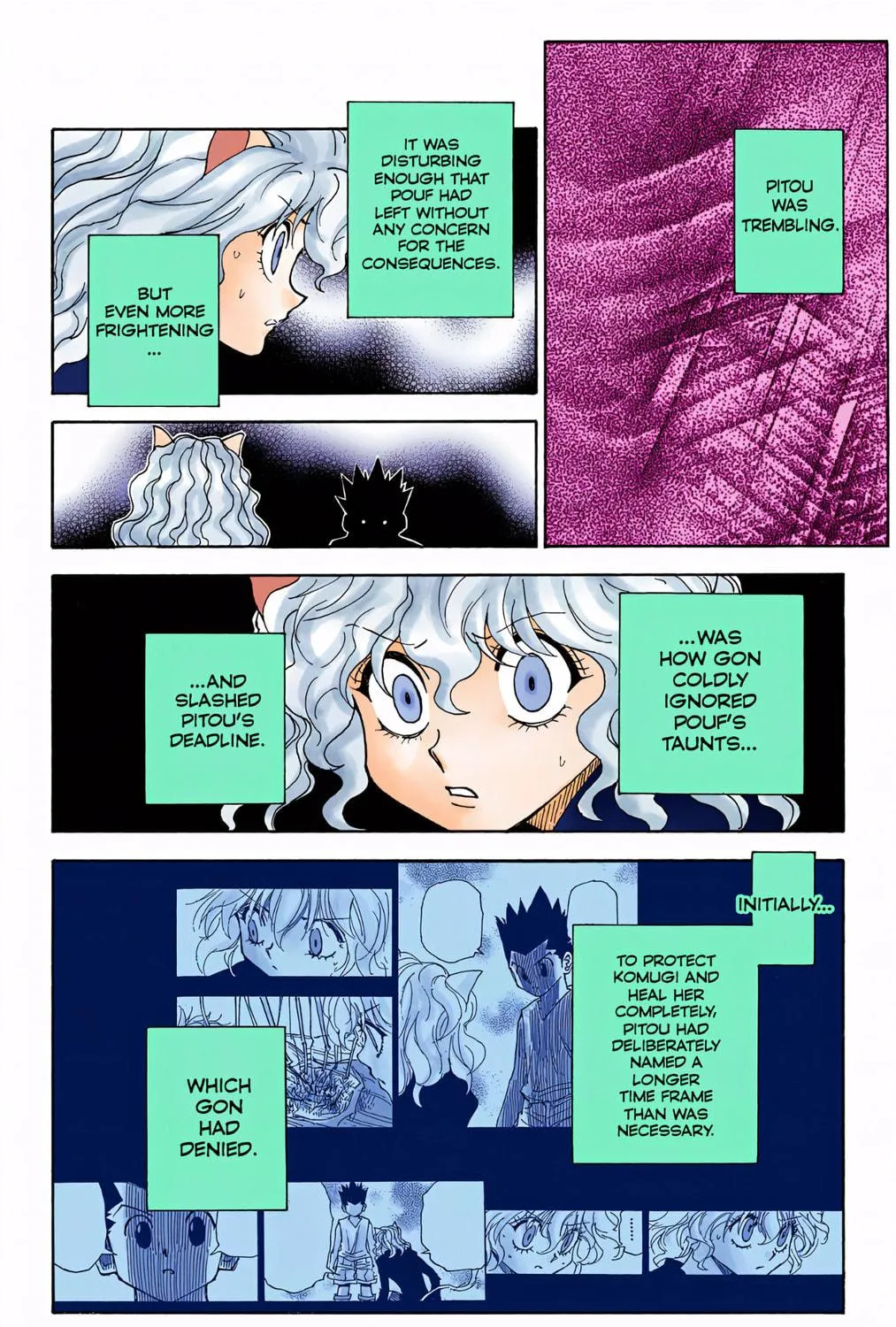 Hunter x Hunter Colored Manga