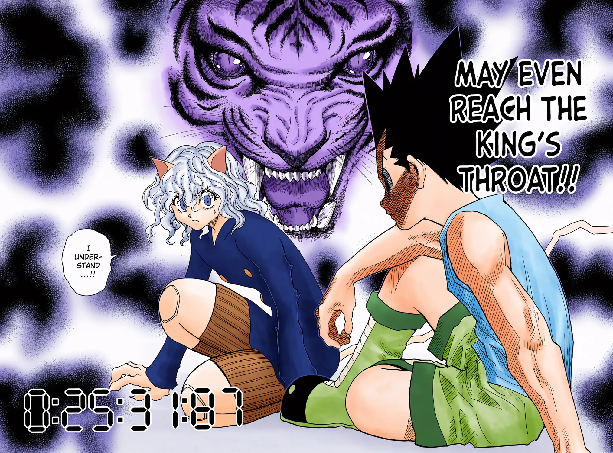 Hunter x Hunter Colored Manga