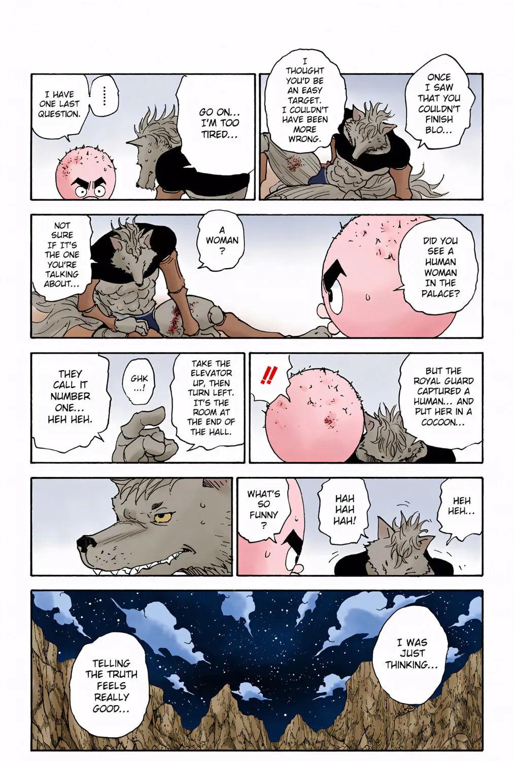 Hunter x Hunter Colored Manga