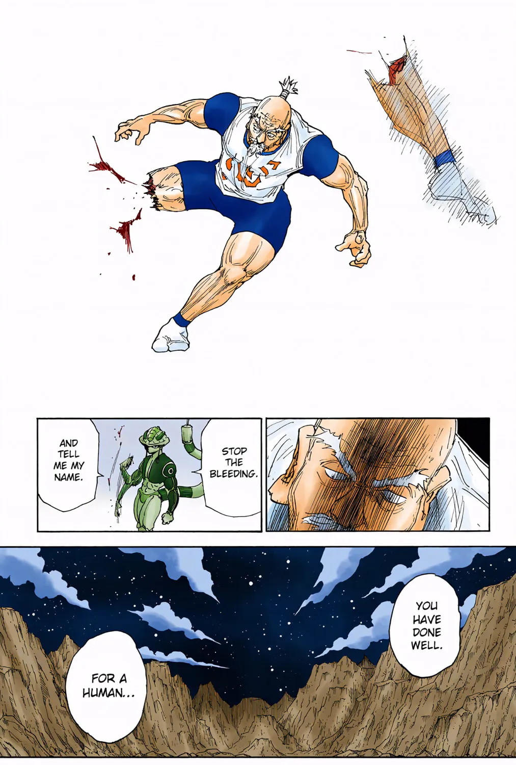 Hunter x Hunter Colored Manga