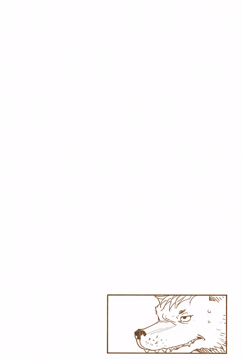 Hunter x Hunter Colored Manga