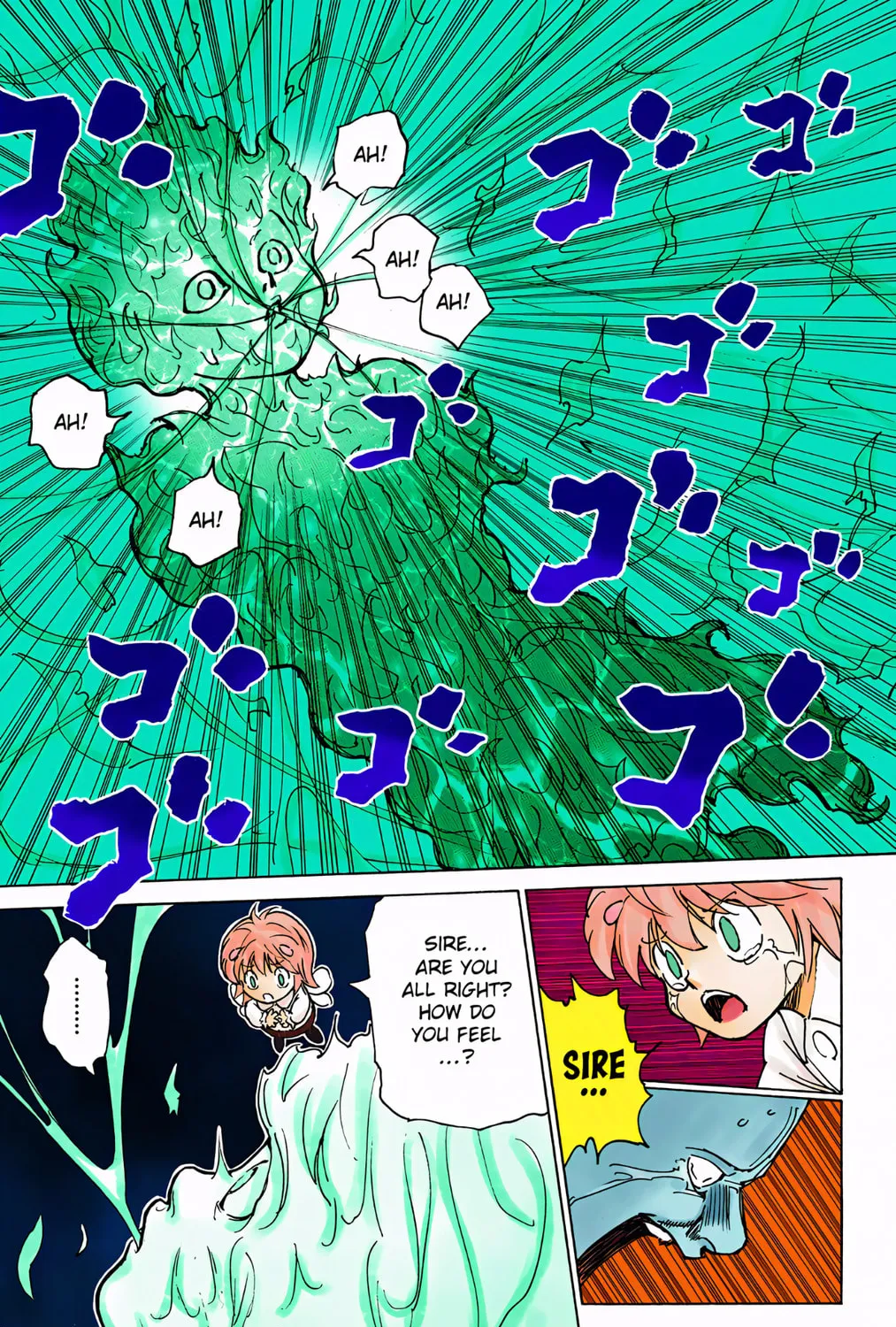 Hunter x Hunter Colored Manga