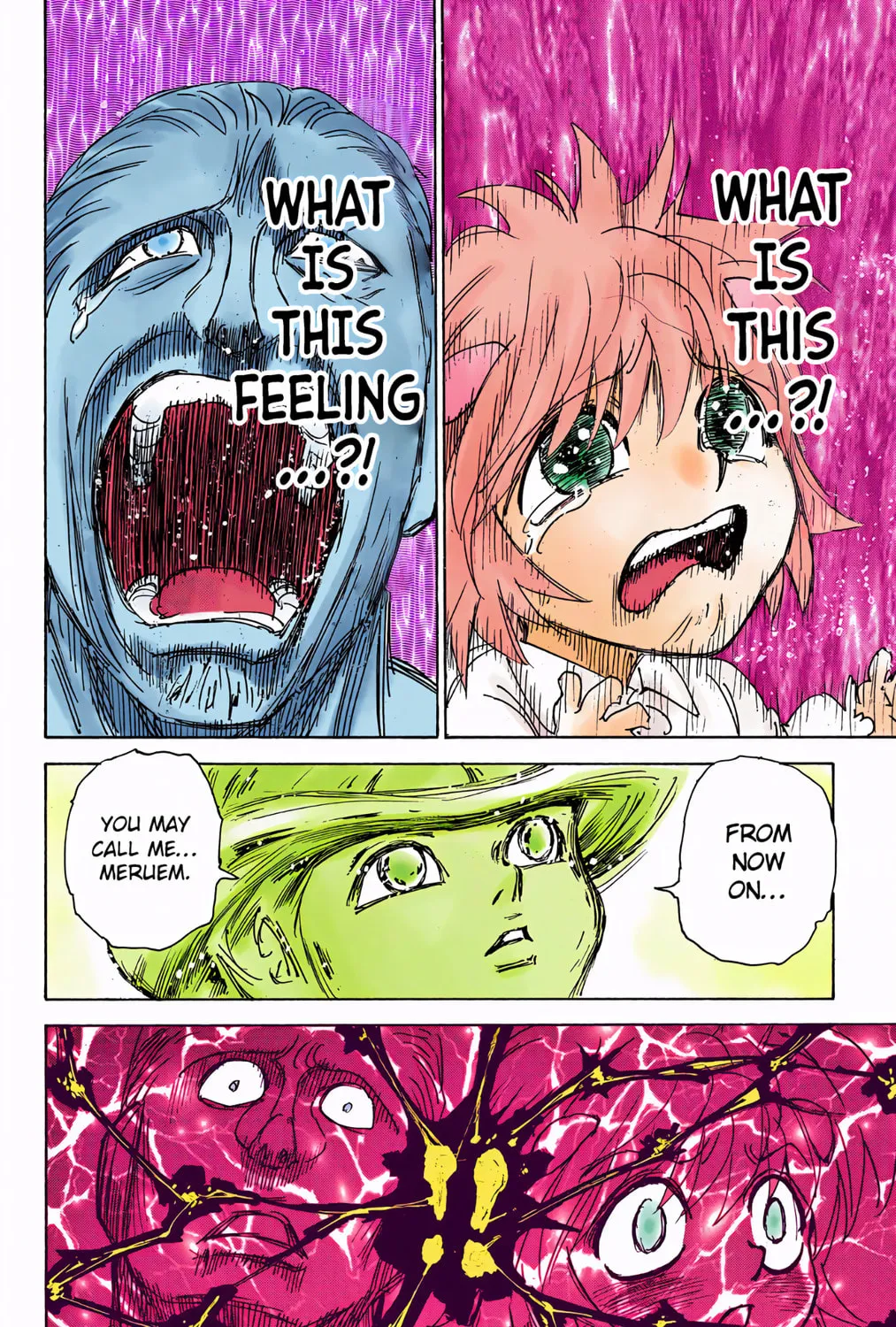 Hunter x Hunter Colored Manga
