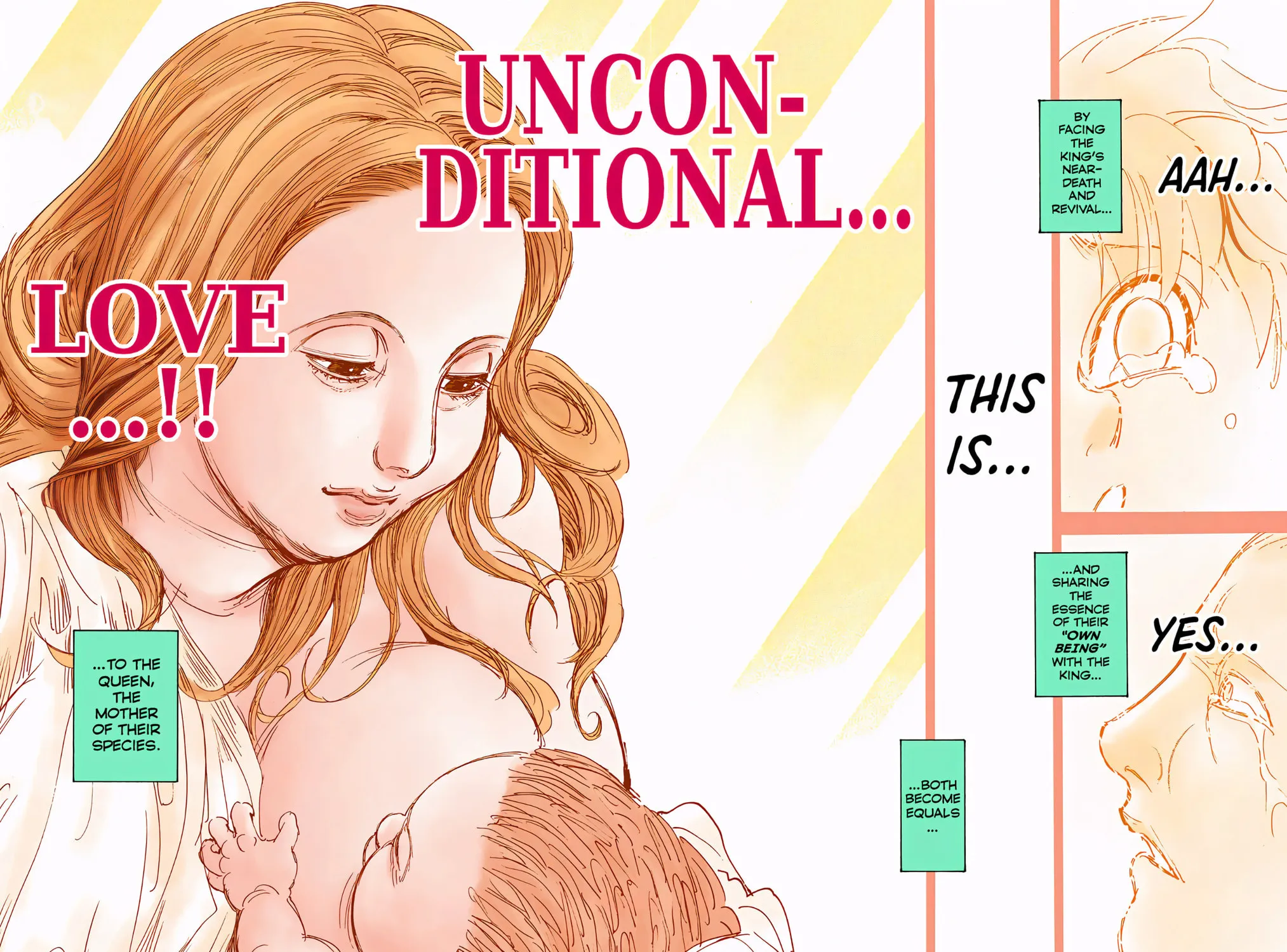 Hunter x Hunter Colored Manga