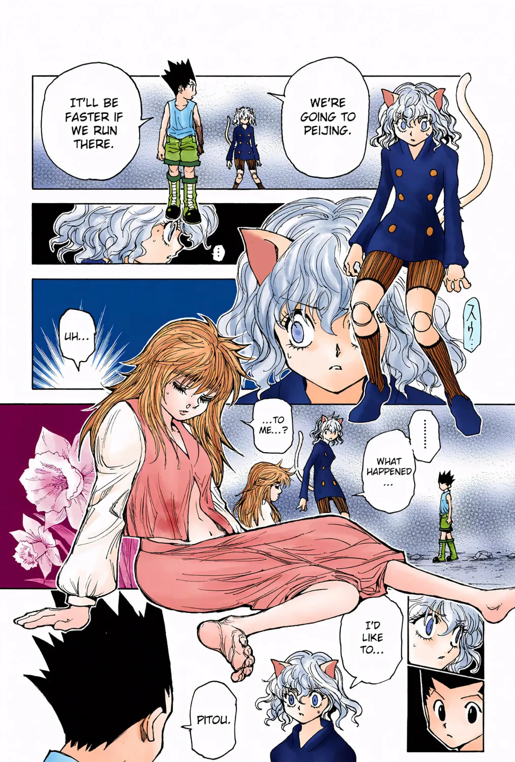 Hunter x Hunter Colored Manga