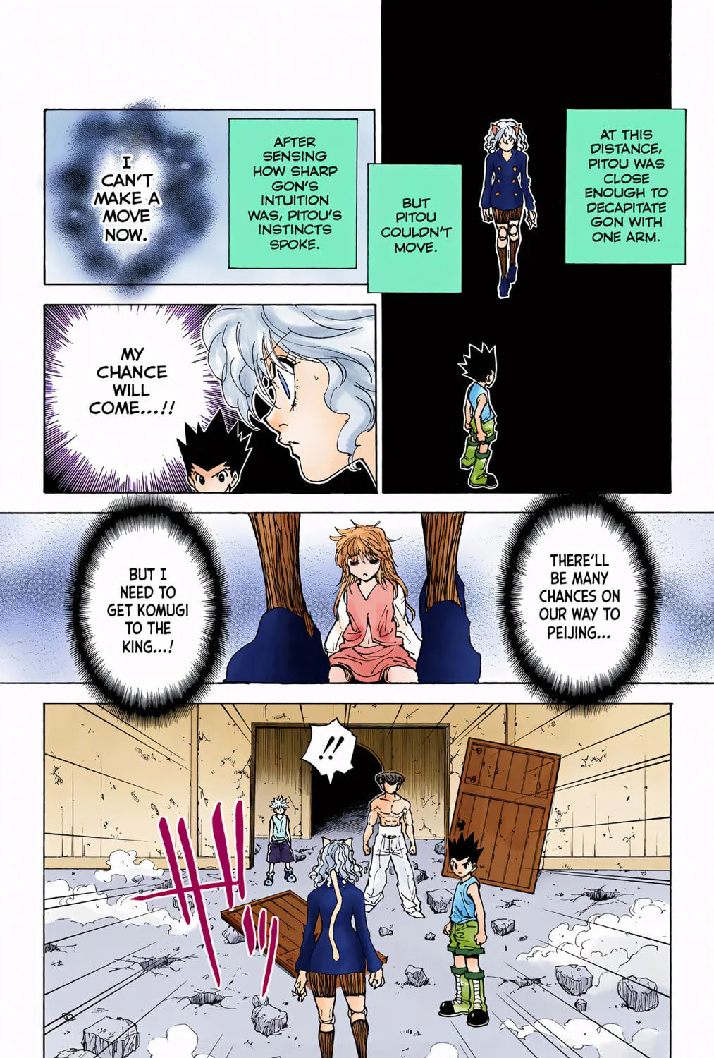Hunter x Hunter Colored Manga