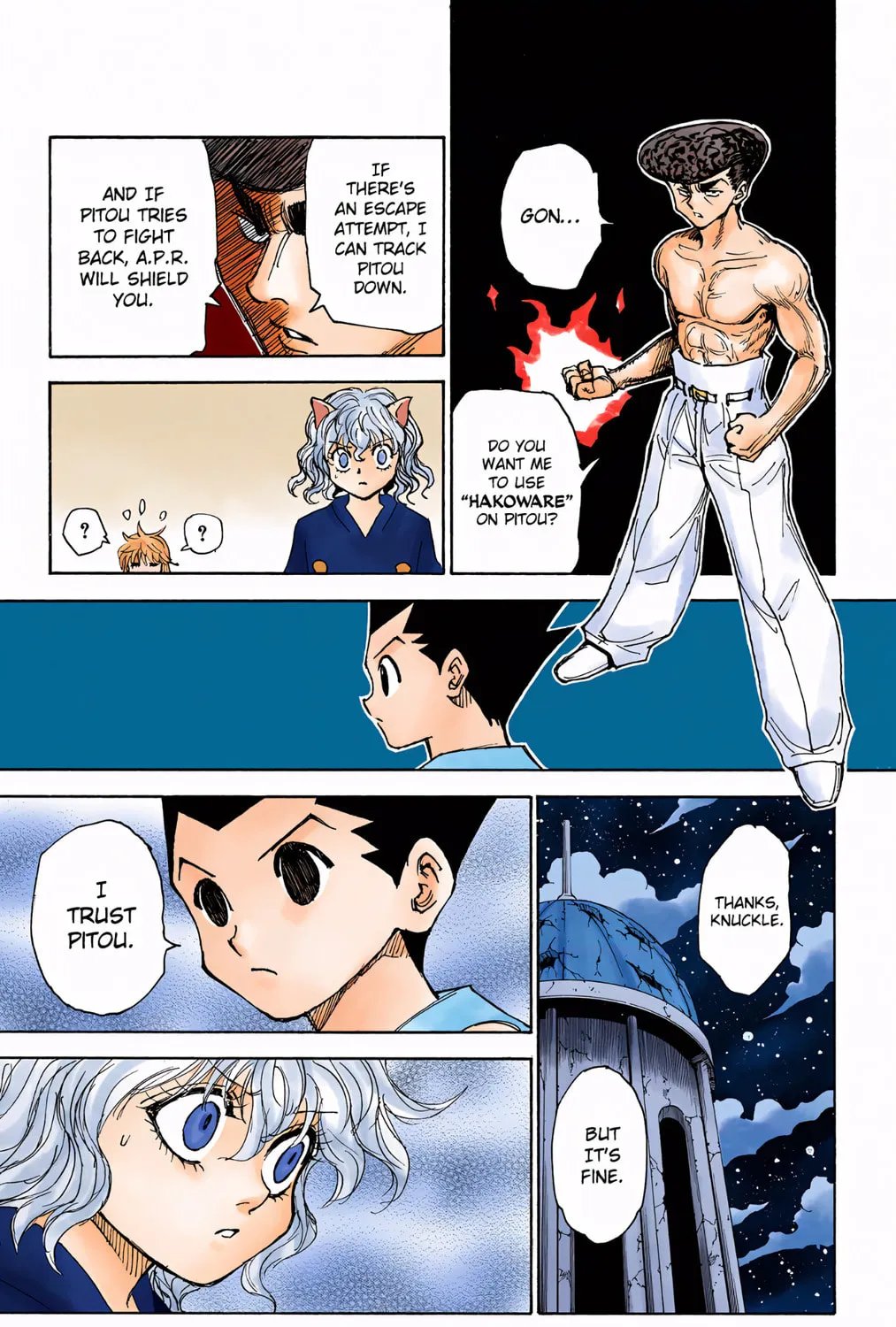 Hunter x Hunter Colored Manga