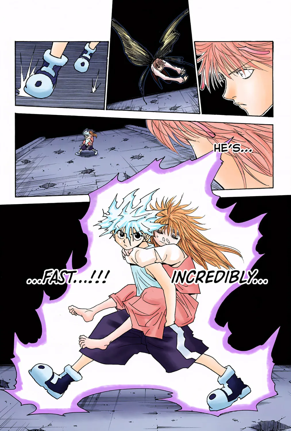 Hunter x Hunter Colored Manga