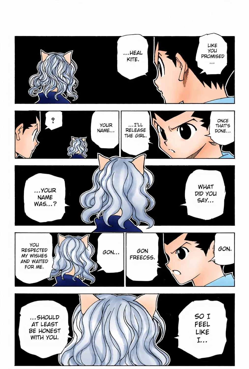 Hunter x Hunter Colored Manga