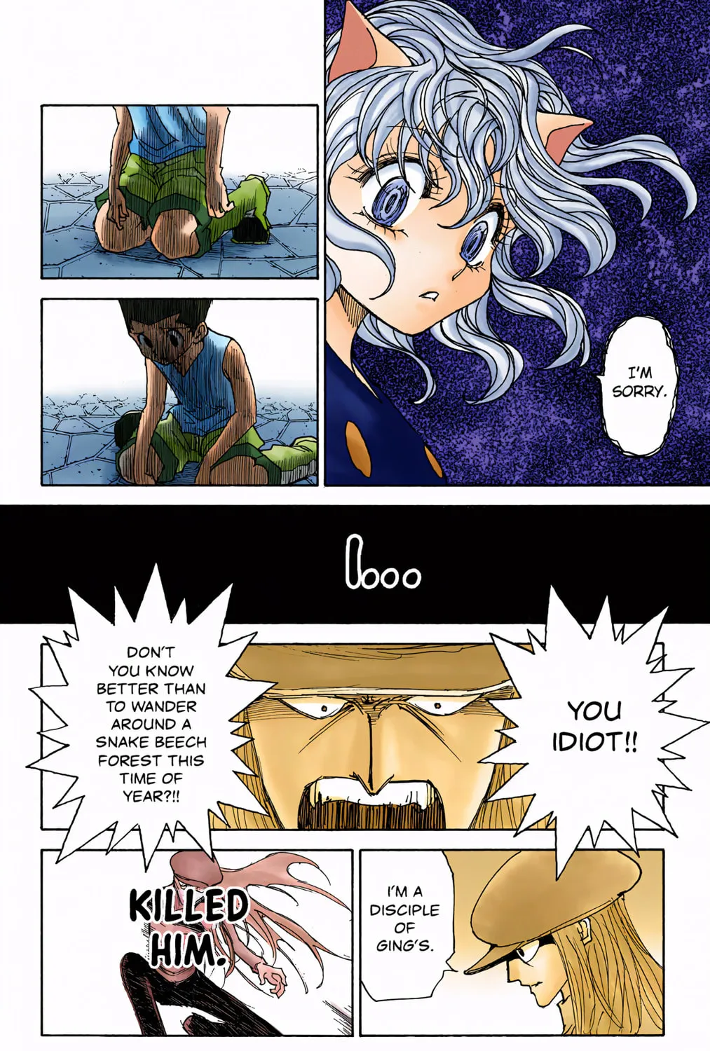 Hunter x Hunter Colored Manga