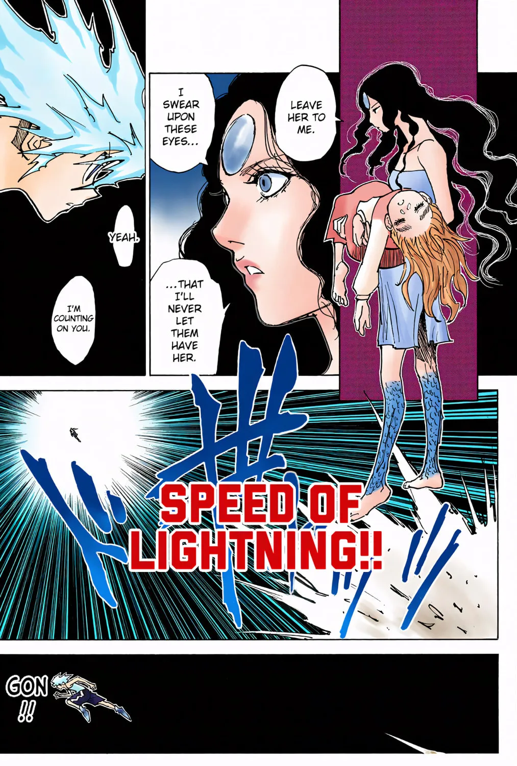 Hunter x Hunter Colored Manga