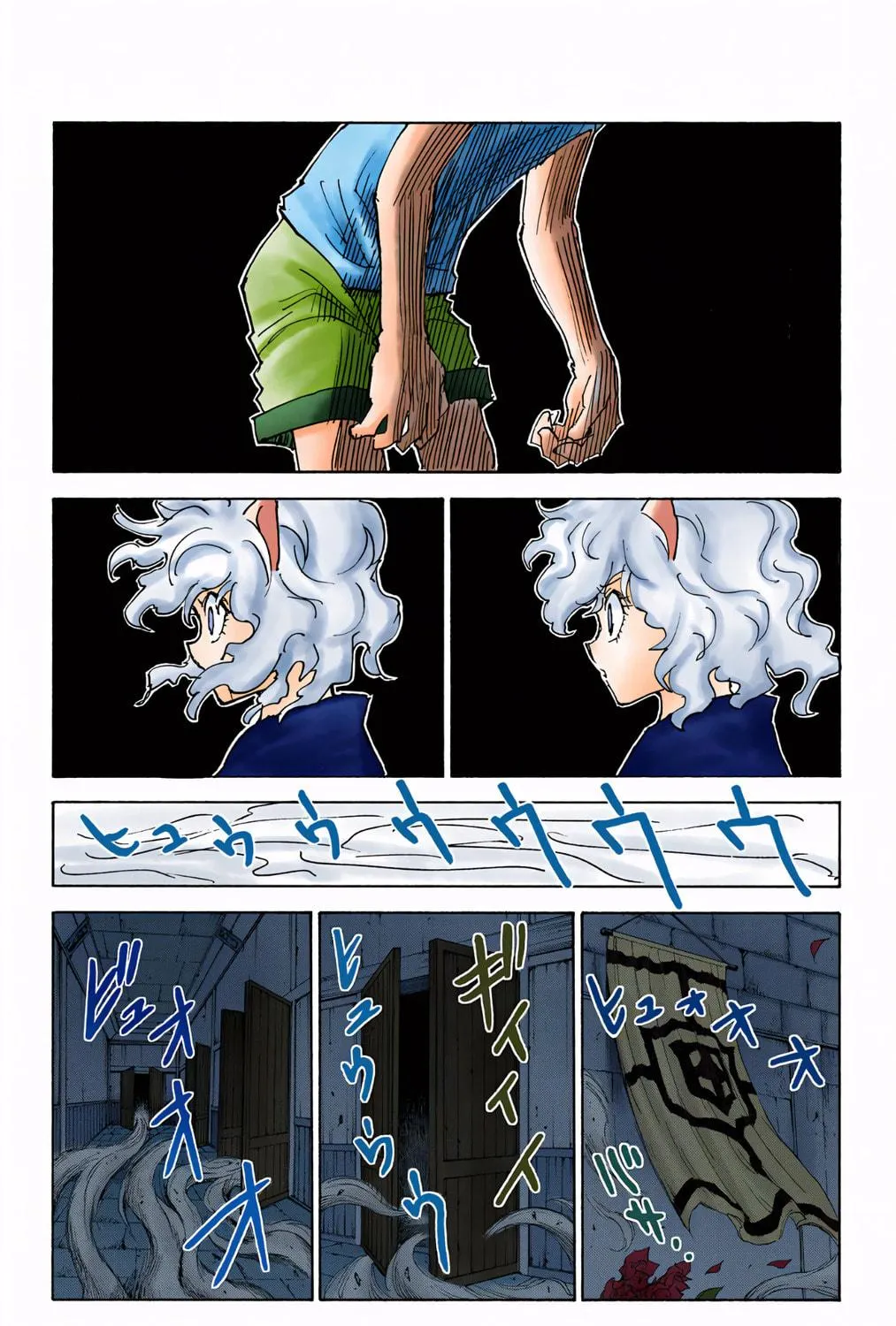 Hunter x Hunter Colored Manga