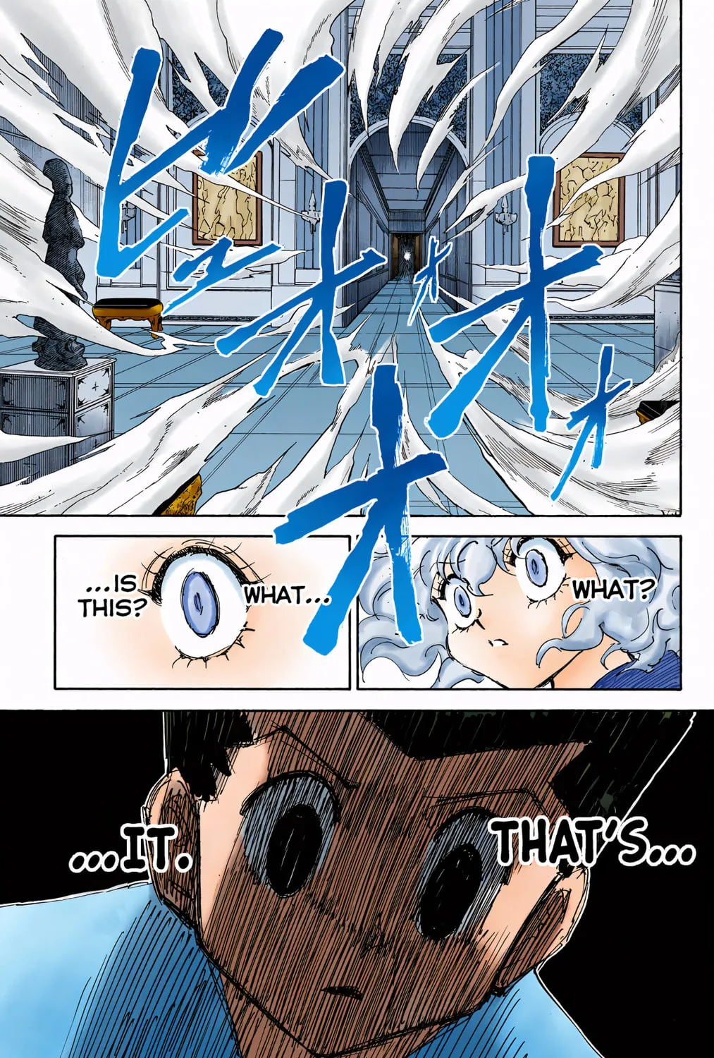 Hunter x Hunter Colored Manga