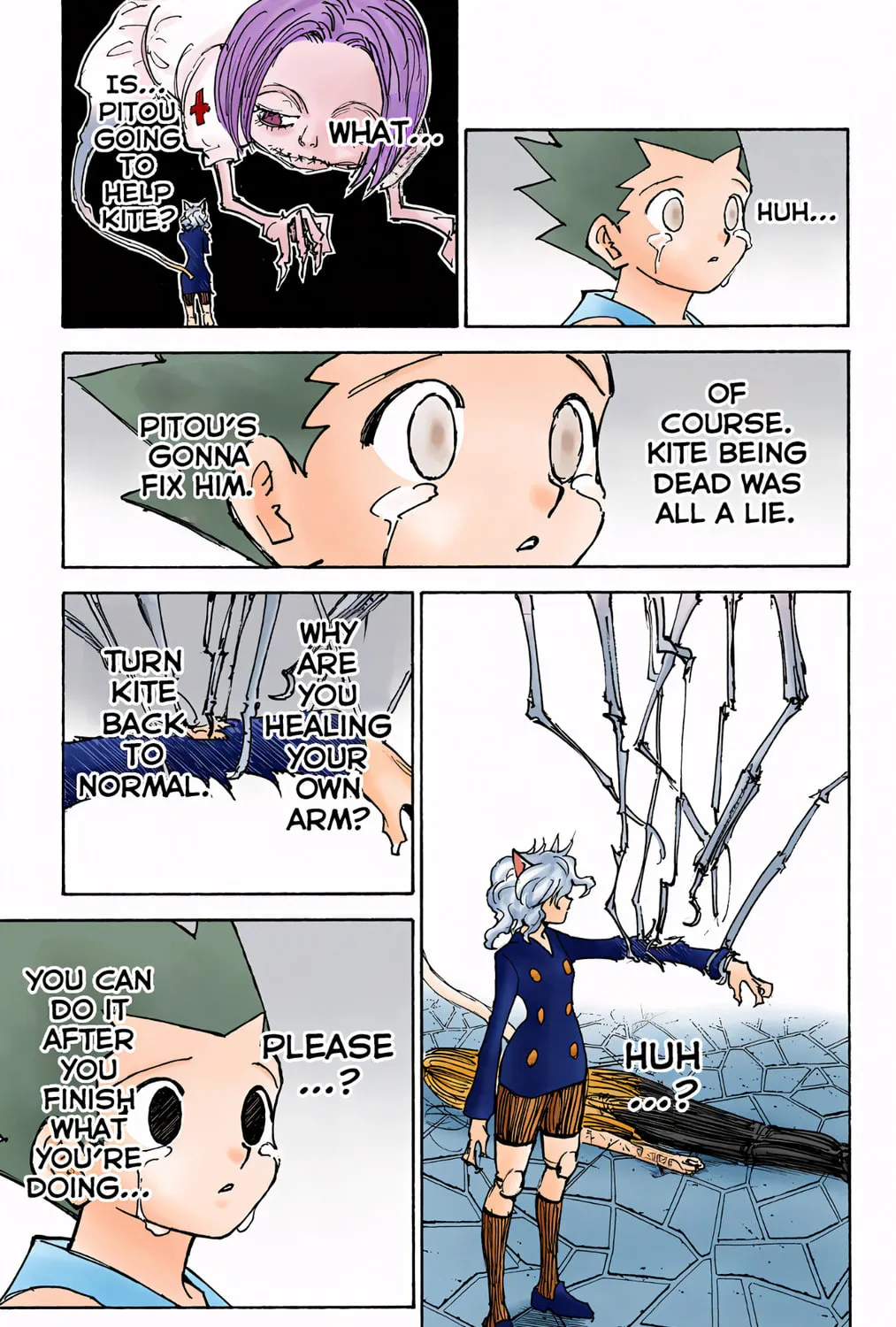 Hunter x Hunter Colored Manga
