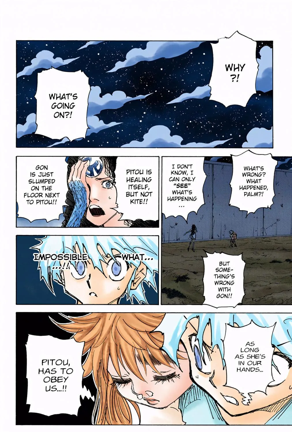 Hunter x Hunter Colored Manga