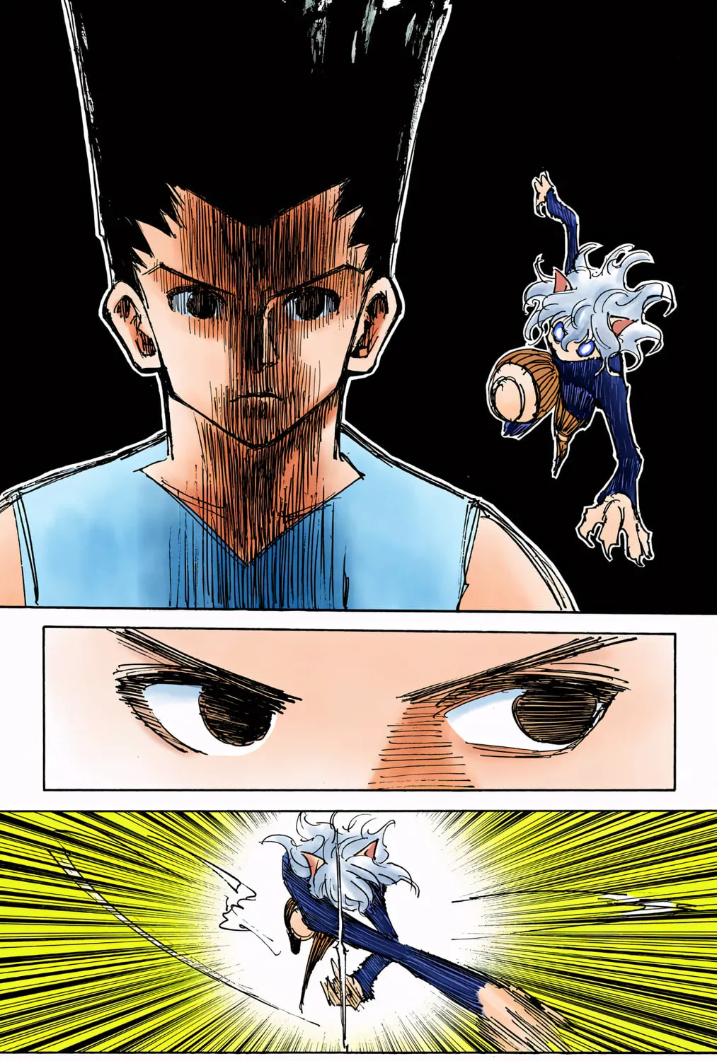 Hunter x Hunter Colored Manga