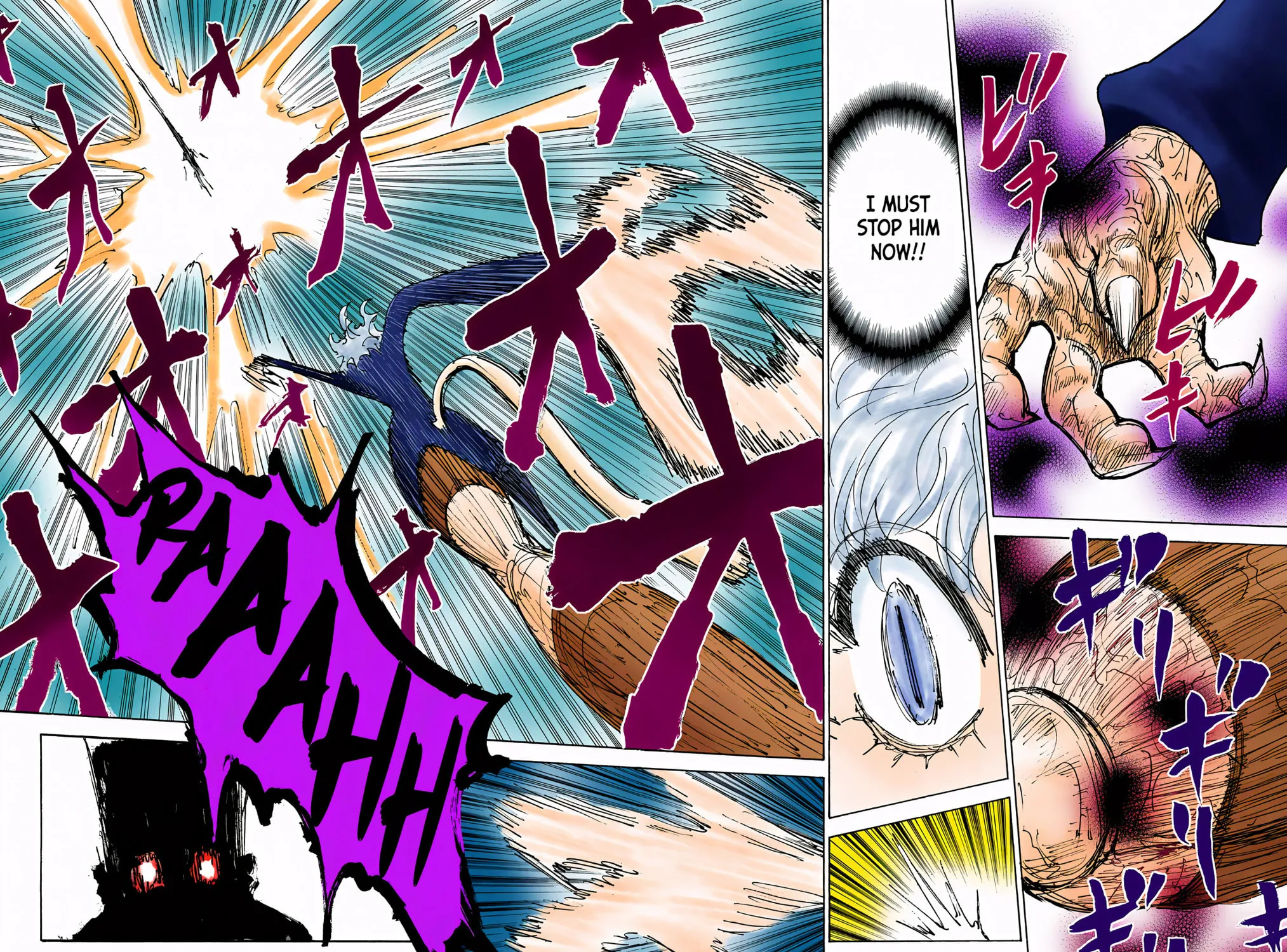 Hunter x Hunter Colored Manga
