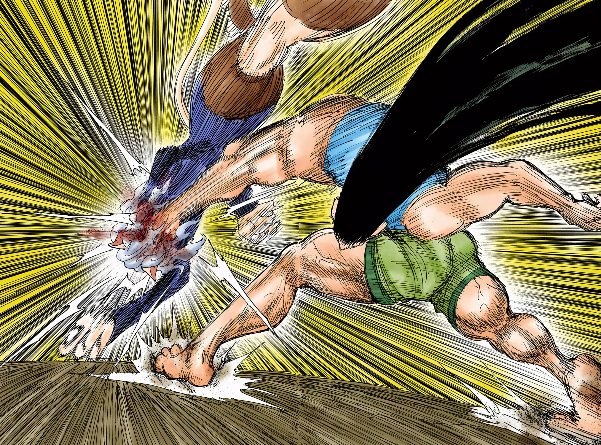 Hunter x Hunter Colored Manga