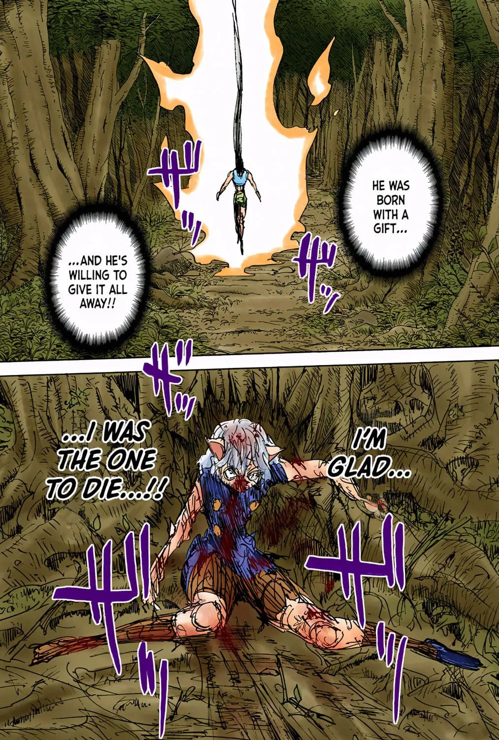 Hunter x Hunter Colored Manga