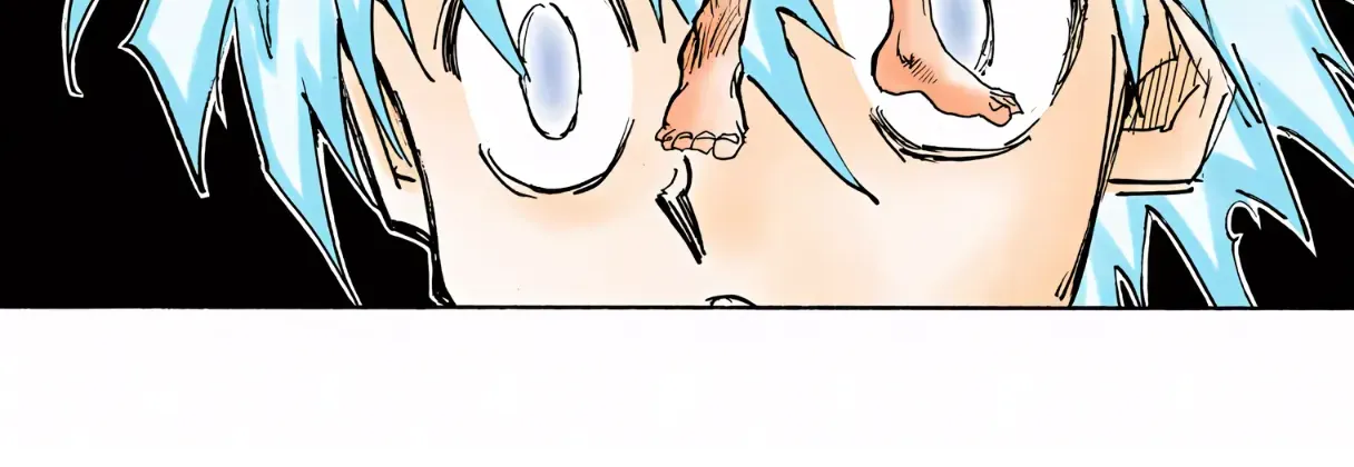 Hunter x Hunter Colored Manga