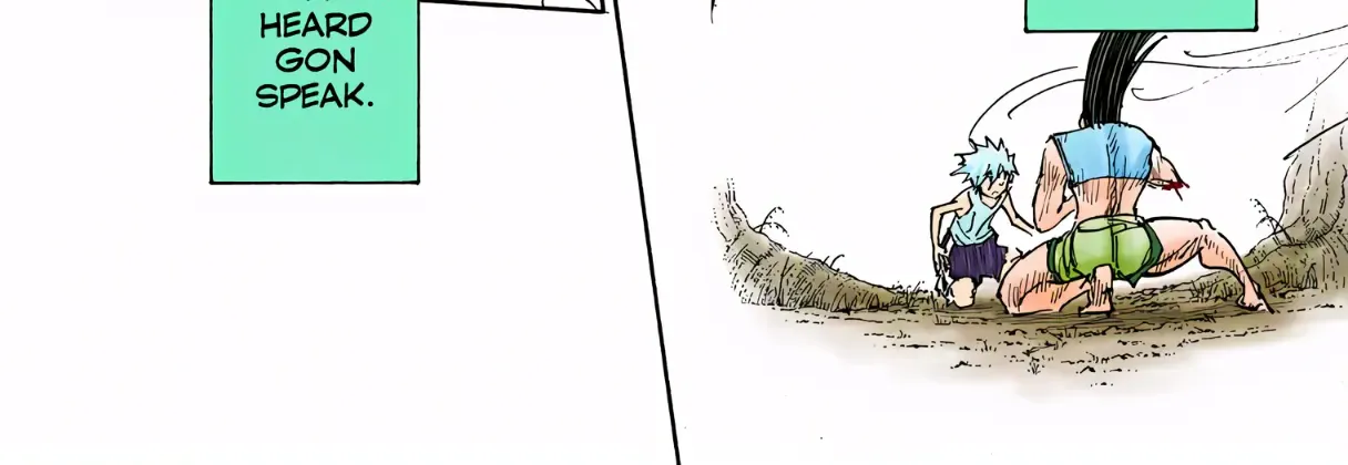 Hunter x Hunter Colored Manga