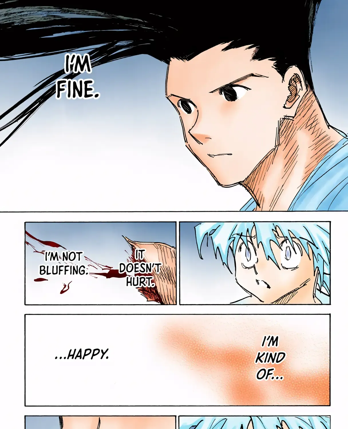 Hunter x Hunter Colored Manga