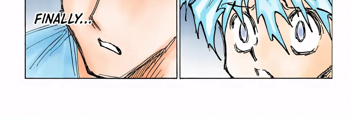 Hunter x Hunter Colored Manga