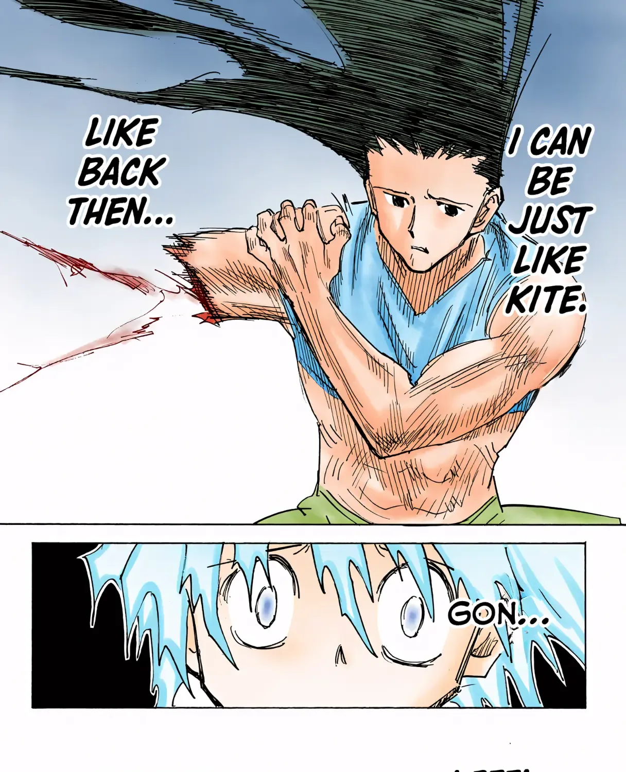 Hunter x Hunter Colored Manga