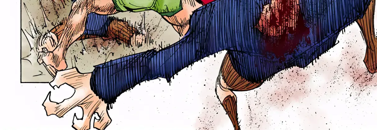 Hunter x Hunter Colored Manga