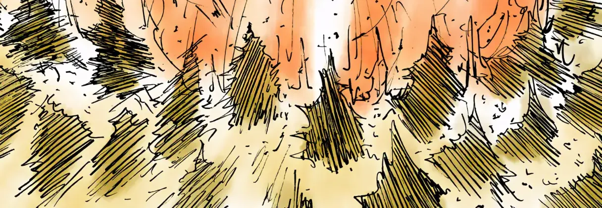 Hunter x Hunter Colored Manga