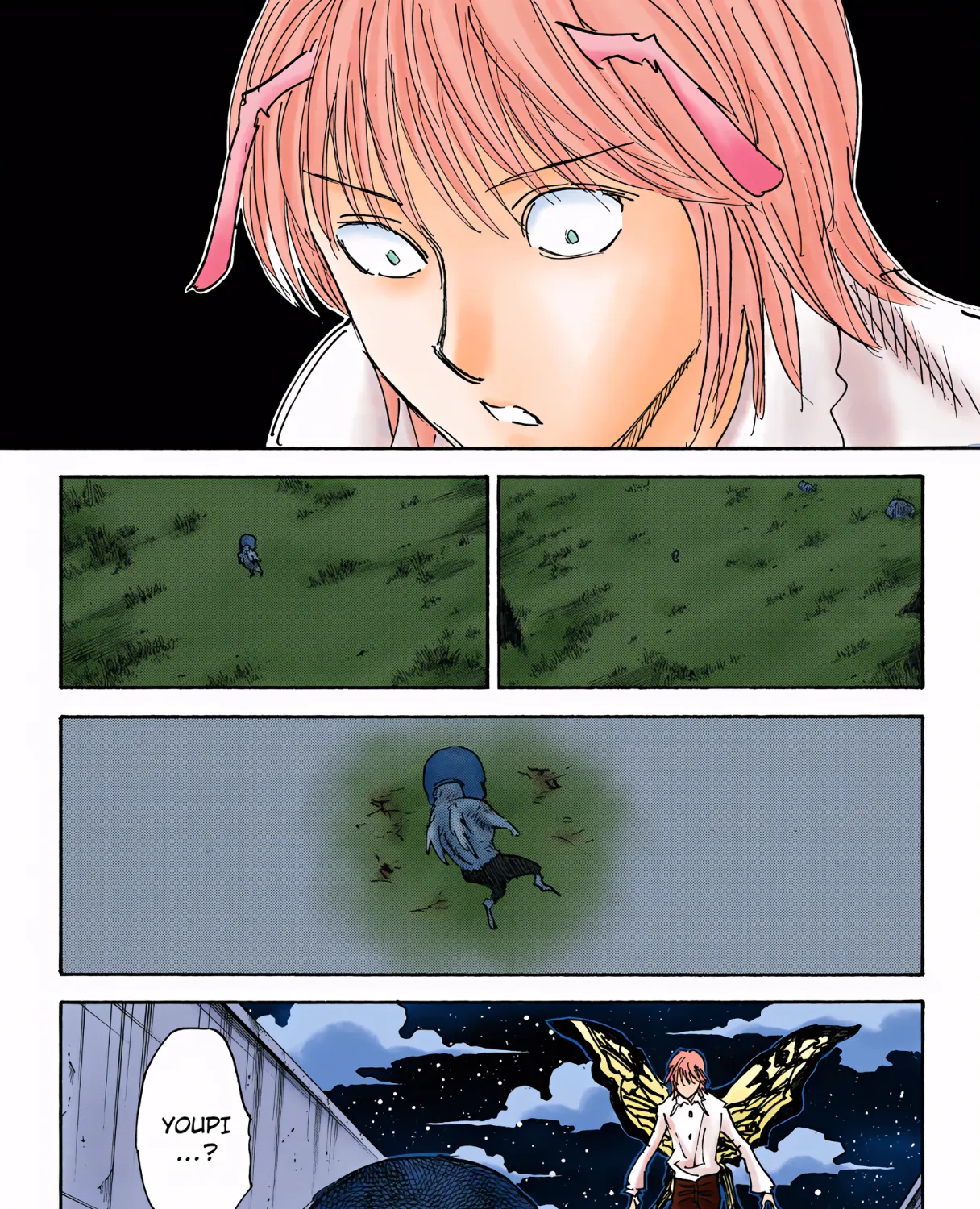 Hunter x Hunter Colored Manga