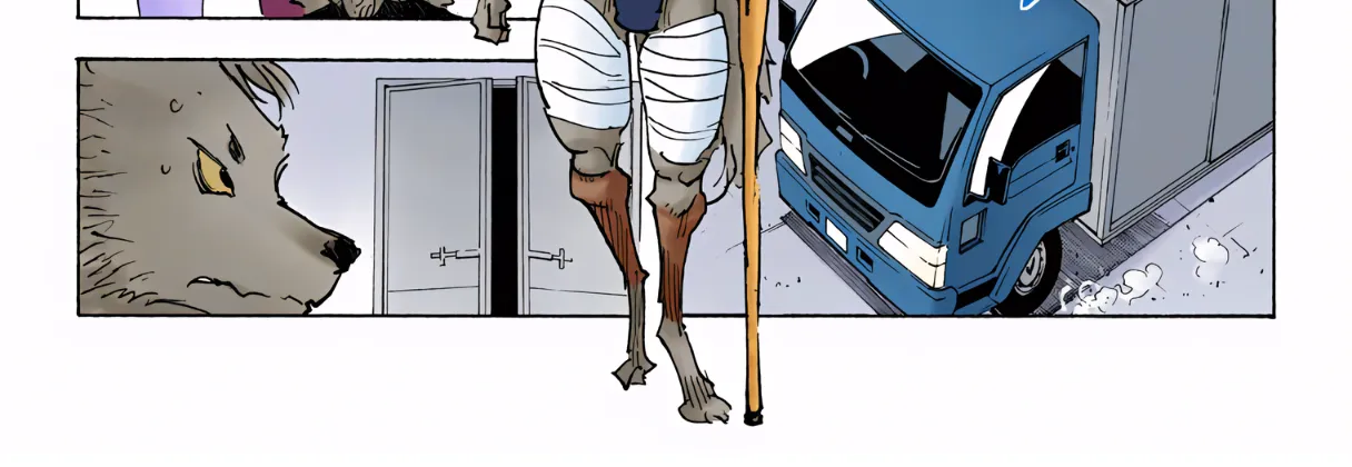 Hunter x Hunter Colored Manga