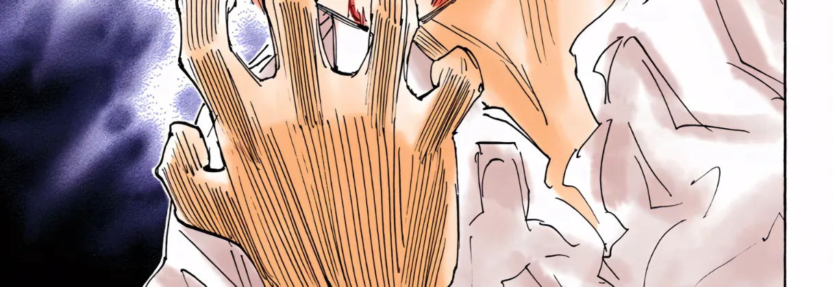 Hunter x Hunter Colored Manga