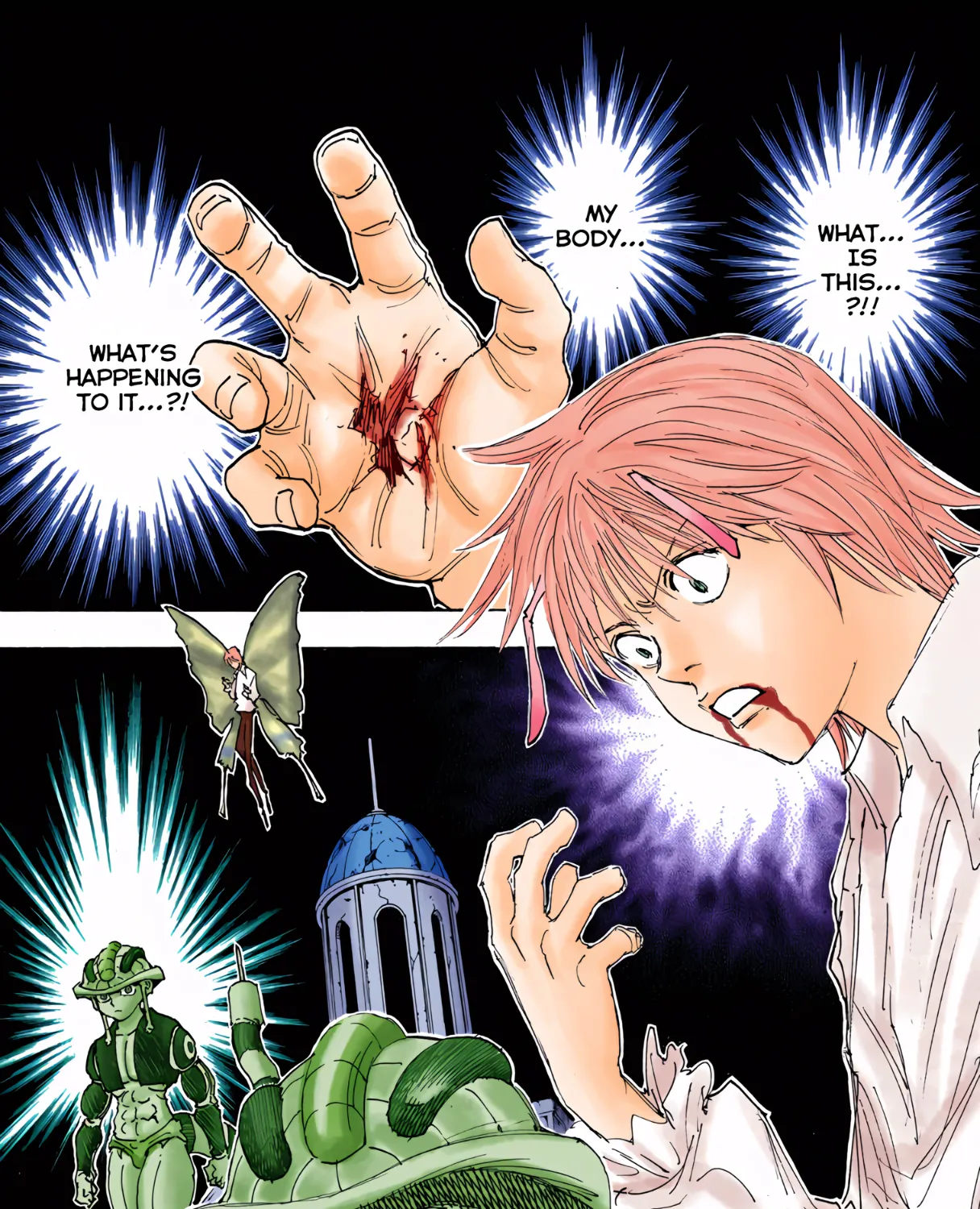 Hunter x Hunter Colored Manga