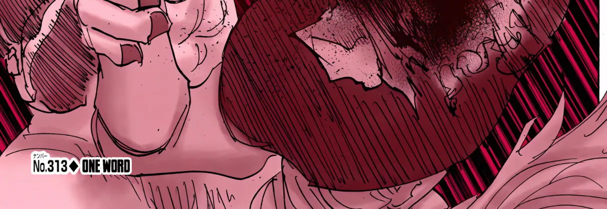 Hunter x Hunter Colored Manga