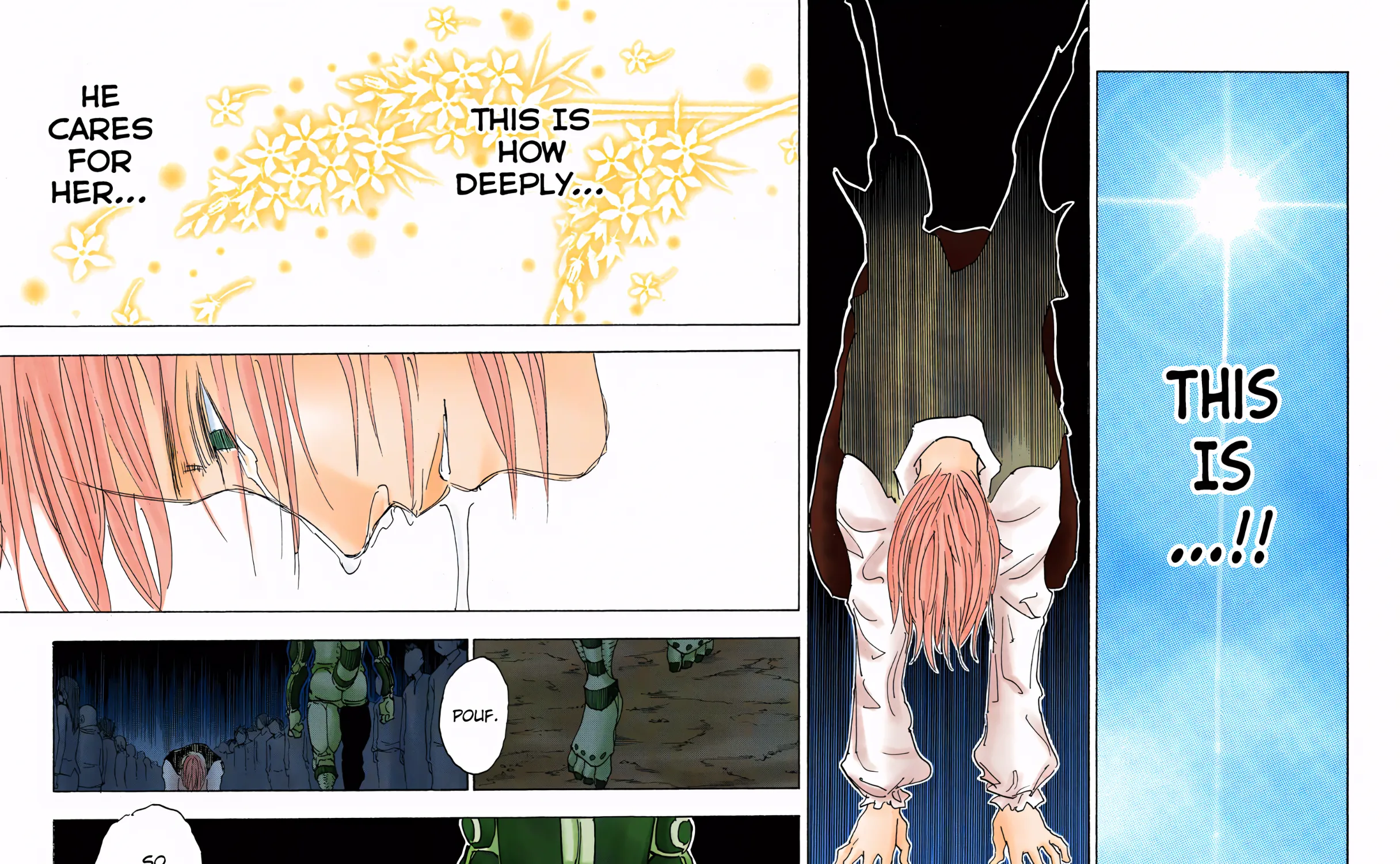 Hunter x Hunter Colored Manga