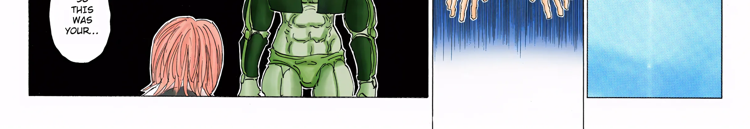 Hunter x Hunter Colored Manga