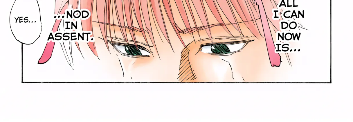 Hunter x Hunter Colored Manga