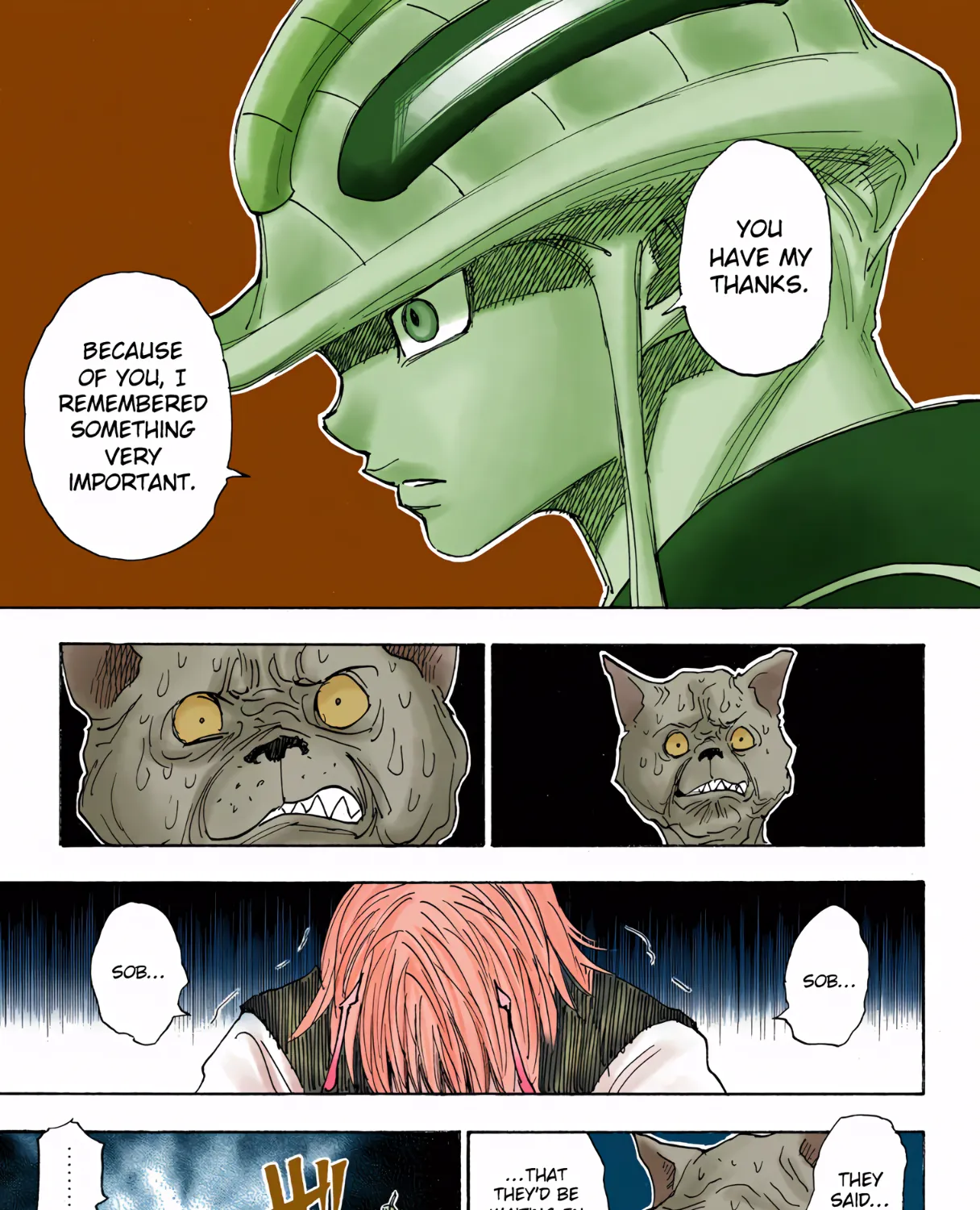 Hunter x Hunter Colored Manga