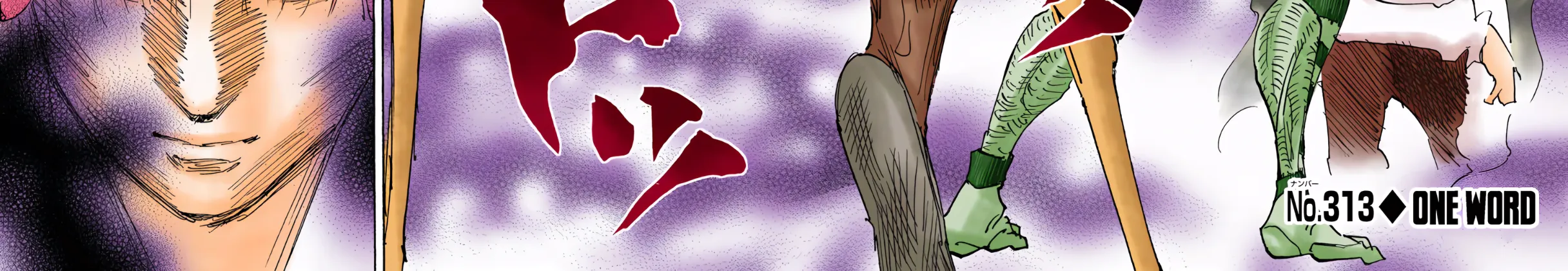 Hunter x Hunter Colored Manga