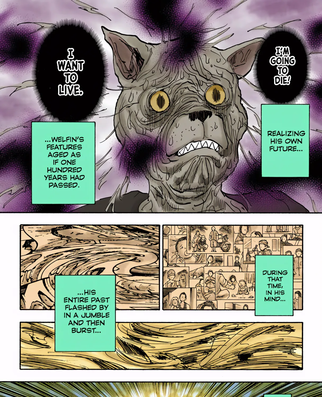 Hunter x Hunter Colored Manga