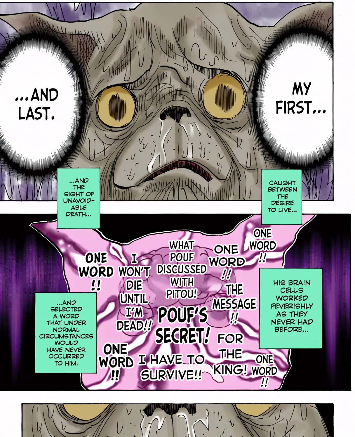 Hunter x Hunter Colored Manga
