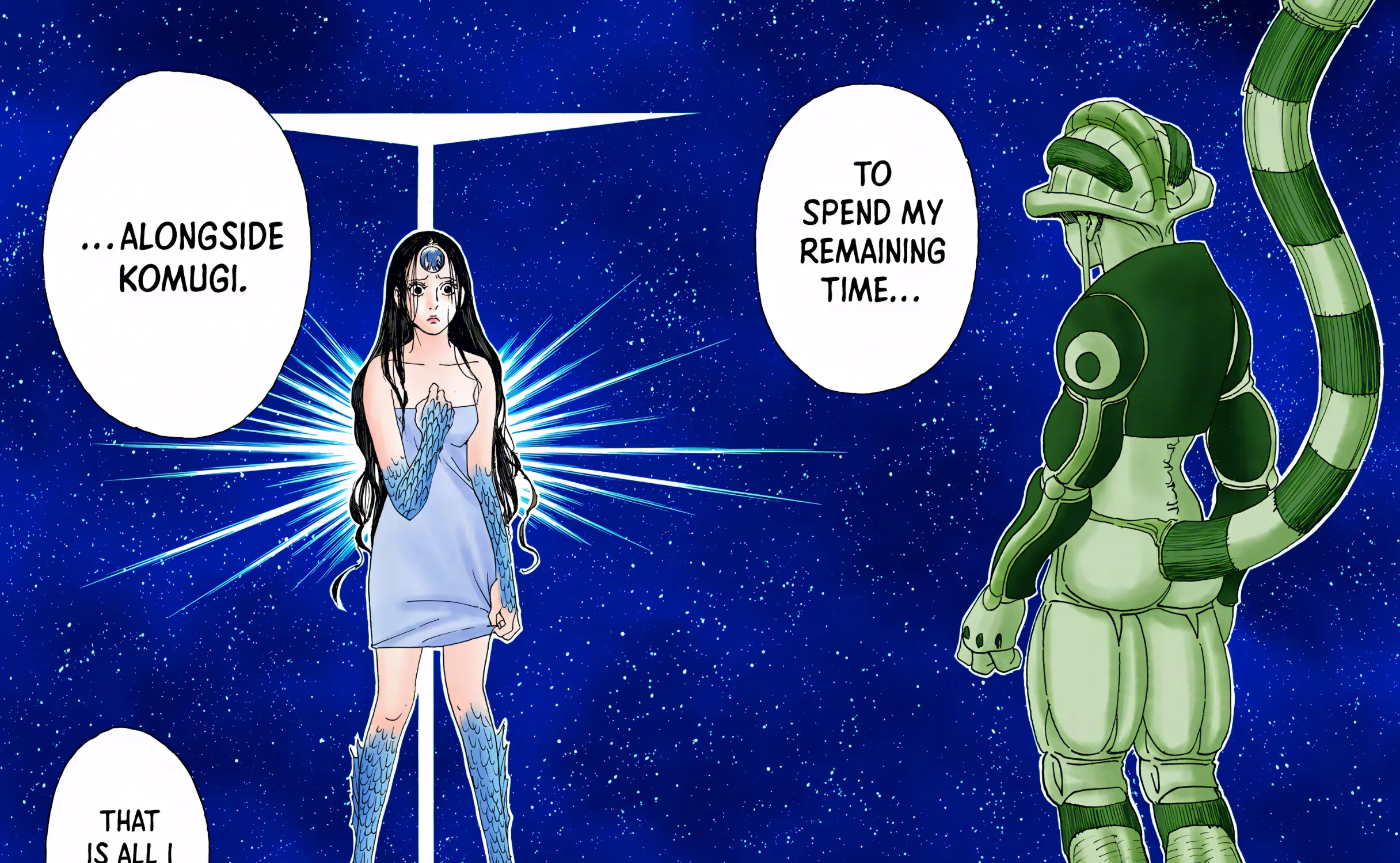 Hunter x Hunter Colored Manga